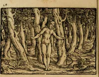 An illustration from Ouidio istorico, politico, morale : breuemente spiegato, e delineato con artificiose figure, accresciuta questa quinta impressione di nuoue allegorie (1696)