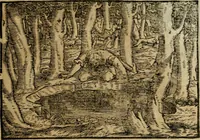 An illustration from Ouidio istorico, politico, morale : breuemente spiegato, e delineato con artificiose figure, accresciuta questa quinta impressione di nuoue allegorie (1696)