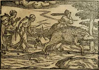 An illustration from Ouidio istorico, politico, morale : breuemente spiegato, e delineato con artificiose figure, accresciuta questa quinta impressione di nuoue allegorie (1696)