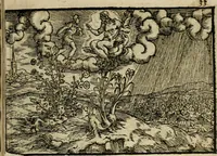 An illustration from Ouidio istorico, politico, morale : breuemente spiegato, e delineato con artificiose figure, accresciuta questa quinta impressione di nuoue allegorie (1696)