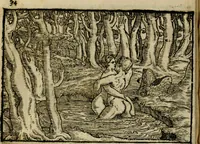 An illustration from Ouidio istorico, politico, morale : breuemente spiegato, e delineato con artificiose figure, accresciuta questa quinta impressione di nuoue allegorie (1696)