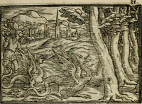 An illustration from Ouidio istorico, politico, morale : breuemente spiegato, e delineato con artificiose figure, accresciuta questa quinta impressione di nuoue allegorie (1696)
