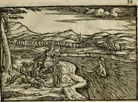 Picture 35 of 73 from Ouidio istorico, politico, morale : breuemente spiegato, e delineato con artificiose figure, accresciuta questa quinta impressione di nuoue allegorie (1696), leaf 42
