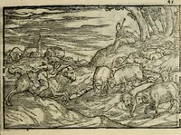 An illustration from Ouidio istorico, politico, morale : breuemente spiegato, e delineato con artificiose figure, accresciuta questa quinta impressione di nuoue allegorie (1696)
