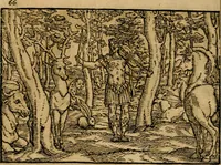 Picture 60 of 73 from Ouidio istorico, politico, morale : breuemente spiegato, e delineato con artificiose figure, accresciuta questa quinta impressione di nuoue allegorie (1696), leaf 69