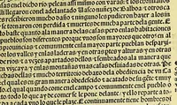 An illustration from Ouiedo Dela natural hystoria delas Indias (1526)