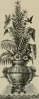 An illustration from Ouina's canoe and Christmas offering : filled with flowers for the darlings of earth (1882)