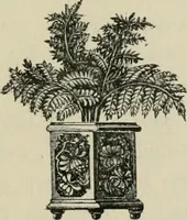 An illustration from Ouina's canoe and Christmas offering : filled with flowers for the darlings of earth (1882)