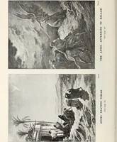 Picture 5 of 44 from Our angel friends in ministry and song (1903), leaf 57
