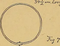 An illustration from Our boys; what they can do and how to do it (1893)