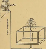 Picture 62 of 92 from Our boys; what they can do and how to do it (1893), leaf 126