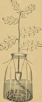 An illustration from Our boys; what they can do and how to do it (1893)