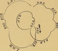 Picture 71 of 92 from Our boys; what they can do and how to do it (1893), leaf 145