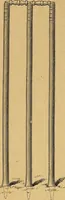 Picture 75 of 92 from Our boys; what they can do and how to do it (1893), leaf 163