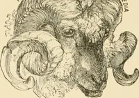 An illustration from Our country, the marvel of nations; its past, present, and future, and what the Scriptures say of it (1901)