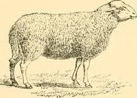Picture 105 of 146 from Our country, the marvel of nations; its past, present, and future, and what the Scriptures say of it (1901), leaf 176