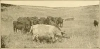 An illustration from Our country, the marvel of nations; its past, present, and future, and what the Scriptures say of it (1901)