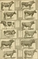 An illustration from Our country, the marvel of nations; its past, present, and future, and what the Scriptures say of it (1901)