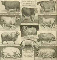An illustration from Our country, the marvel of nations; its past, present, and future, and what the Scriptures say of it (1901)