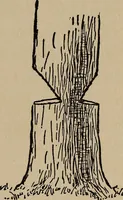 Picture 15 of 72 from Ourdoor sports and games (1911), leaf 114