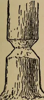 An illustration from Ourdoor sports and games (1911)