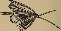 An illustration from Ourdoor sports and games (1911)