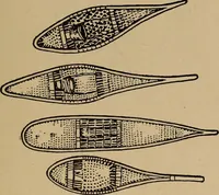 An illustration from Ourdoor sports and games (1911)