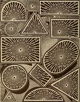 An illustration from Our doors and windows : how to decorate them (1889)