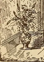 An illustration from Our doors and windows : how to decorate them (1889)