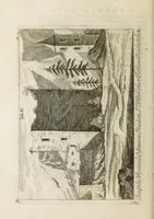 An illustration from Ouresiphoites Helveticus, sive, Itinera per Helvetiae alpinas regiones facta annis MDCCII, MDCCIII, MDCCIV, MDCCV, MDCCVI, MDCCVII, MDCCIX, MDCCX, MDCCCXI (1723)
