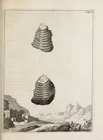 An illustration from Ouresiphoites Helveticus, sive, Itinera per Helvetiae alpinas regiones facta annis MDCCII, MDCCIII, MDCCIV, MDCCV, MDCCVI, MDCCVII, MDCCIX, MDCCX, MDCCCXI (1723)