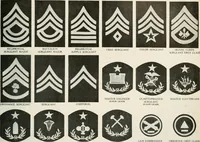 An illustration from Our flag. Origin and progress of the flag of the United States of America, with an introductory account of the symbols, standards, banners and flags of ancient and modern naitons (1872)