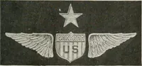 An illustration from Our flag. Origin and progress of the flag of the United States of America, with an introductory account of the symbols, standards, banners and flags of ancient and modern naitons (1872)