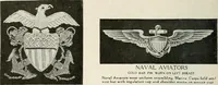 An illustration from Our flag. Origin and progress of the flag of the United States of America, with an introductory account of the symbols, standards, banners and flags of ancient and modern naitons (1872)