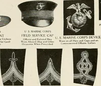 An illustration from Our flag. Origin and progress of the flag of the United States of America, with an introductory account of the symbols, standards, banners and flags of ancient and modern naitons (1872)