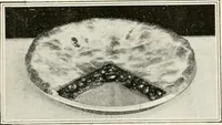 An illustration from Our flag. Origin and progress of the flag of the United States of America, with an introductory account of the symbols, standards, banners and flags of ancient and modern naitons (1872)