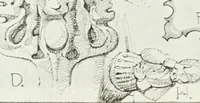 An illustration from ...Our homeland churches and how to study them (1912)