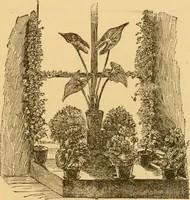 An illustration from Our homes; how to beautify them. One hundred and fifty engravings (1888)