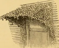 An illustration from Our homes; how to beautify them. One hundred and fifty engravings (1888)