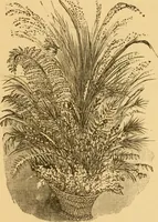 An illustration from Our homes; how to beautify them. One hundred and fifty engravings (1888)