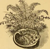An illustration from Our homes; how to beautify them. One hundred and fifty engravings (1888)