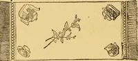 An illustration from Our homes; how to beautify them. One hundred and fifty engravings (1888)