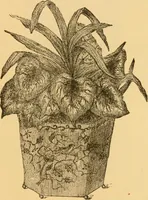 An illustration from Our homes; how to beautify them. One hundred and fifty engravings (1888)