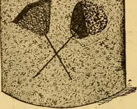 An illustration from Our homes; how to beautify them. One hundred and fifty engravings (1888)