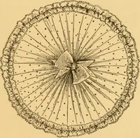 An illustration from Our homes; how to beautify them. One hundred and fifty engravings (1888)