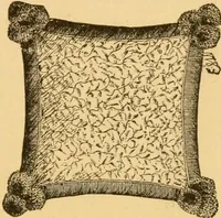 An illustration from Our homes; how to beautify them. One hundred and fifty engravings (1888)