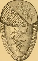 An illustration from Our homes; how to beautify them. One hundred and fifty engravings (1888)