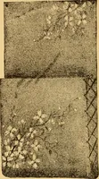 An illustration from Our homes; how to beautify them. One hundred and fifty engravings (1888)