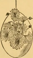 An illustration from Our homes; how to beautify them. One hundred and fifty engravings (1888)