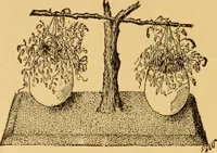 An illustration from Our homes; how to beautify them. One hundred and fifty engravings (1888)